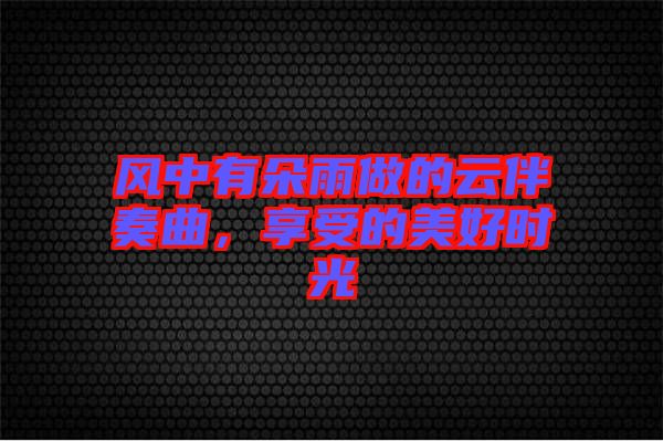 風(fēng)中有朵雨做的云伴奏曲，享受的美好時光
