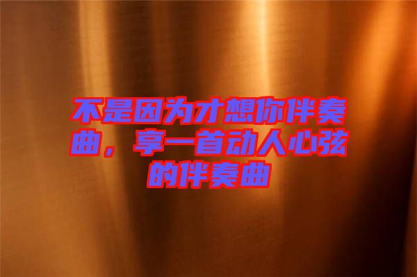不是因為才想你伴奏曲，享一首動人心弦的伴奏曲