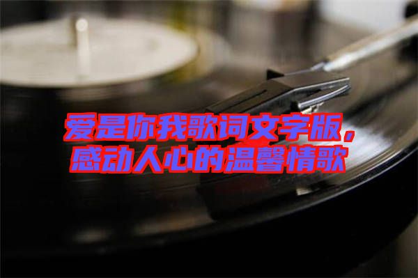 愛是你我歌詞文字版，感動人心的溫馨情歌