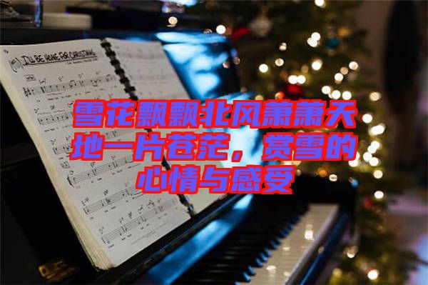 雪花飄飄北風(fēng)蕭蕭天地一片蒼茫，賞雪的心情與感受
