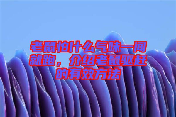 老鼠怕什么氣味一聞就跑，介紹老鼠驅(qū)趕的有效方法