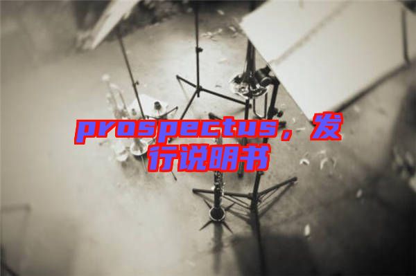 prospectus，發(fā)行說明書
