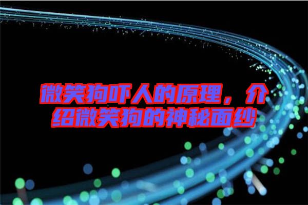 微笑狗嚇人的原理，介紹微笑狗的神秘面紗