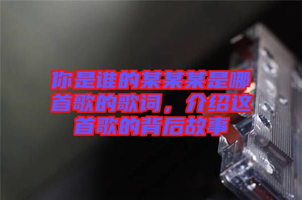 你是誰(shuí)的某某某是哪首歌的歌詞，介紹這首歌的背后故事