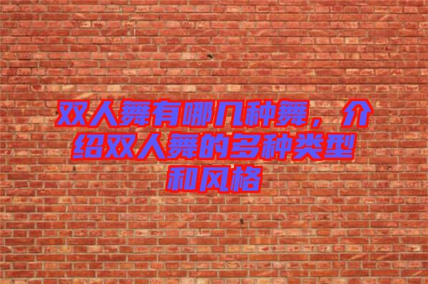 雙人舞有哪幾種舞，介紹雙人舞的多種類型和風(fēng)格