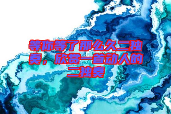 等你等了那么久二獨(dú)奏，欣賞一首動(dòng)人的二獨(dú)奏