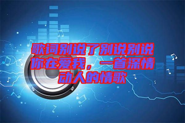歌詞別說了別說別說你在愛我，一首深情動(dòng)人的情歌