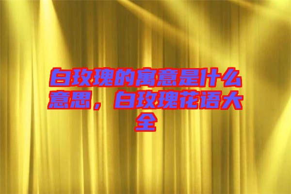 白玫瑰的寓意是什么意思，白玫瑰花語大全