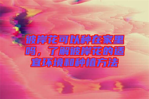 彼岸花可以種在家里嗎，了解彼岸花的適宜環(huán)境和種植方法