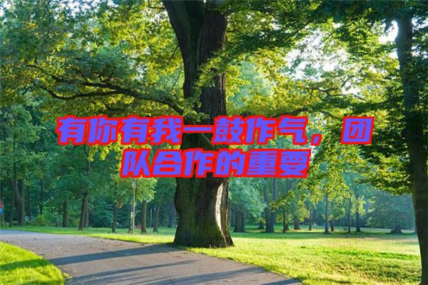 有你有我一鼓作氣，團(tuán)隊(duì)合作的重要