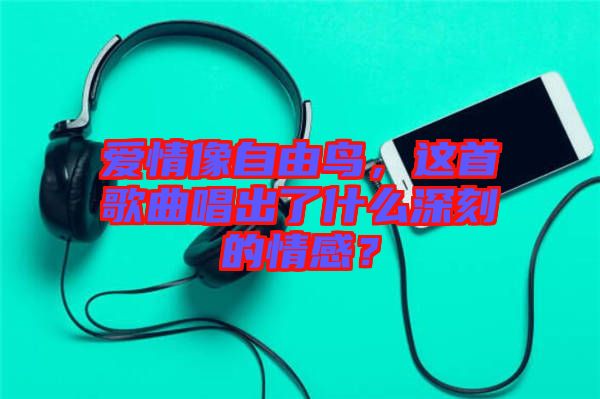 愛情像自由鳥，這首歌曲唱出了什么深刻的情感？