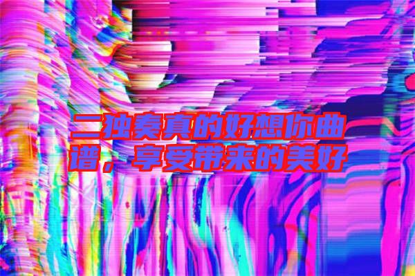 二獨(dú)奏真的好想你曲譜，享受帶來(lái)的美好