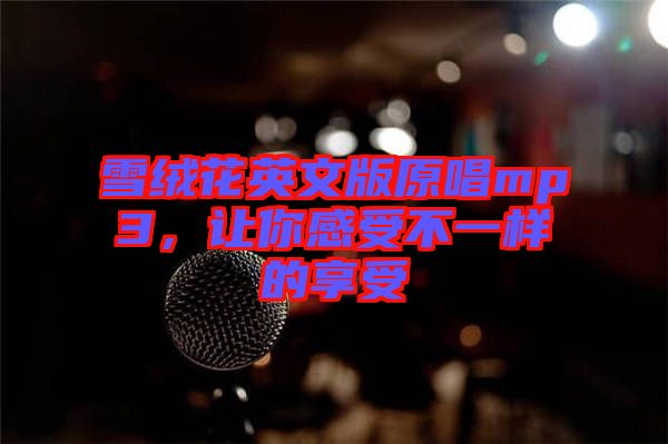 雪絨花英文版原唱mp3，讓你感受不一樣的享受