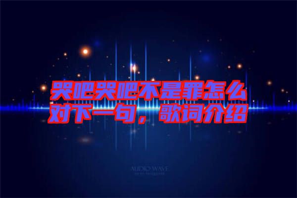 哭吧哭吧不是罪怎么對下一句，歌詞介紹