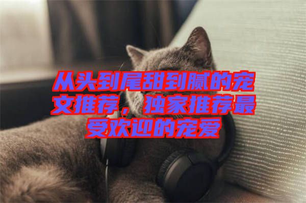 從頭到尾甜到膩的寵文推薦，獨(dú)家推薦最受歡迎的寵愛(ài)