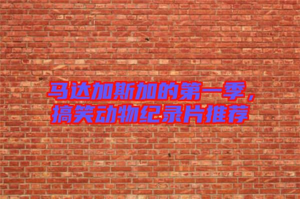 馬達(dá)加斯加的第一季，搞笑動物紀(jì)錄片推薦