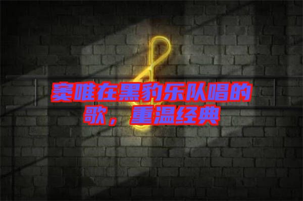 竇唯在黑豹樂隊唱的歌，重溫經(jīng)典