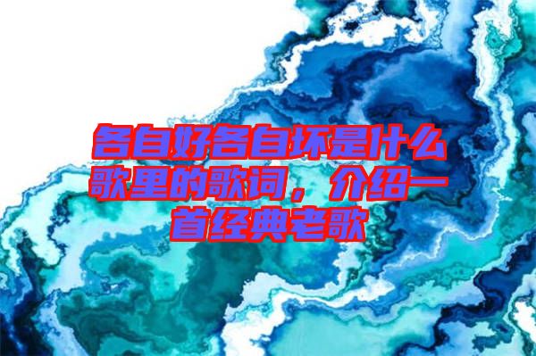 各自好各自壞是什么歌里的歌詞，介紹一首經(jīng)典老歌