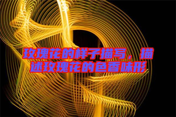 玫瑰花的樣子描寫，描述玫瑰花的色香味形