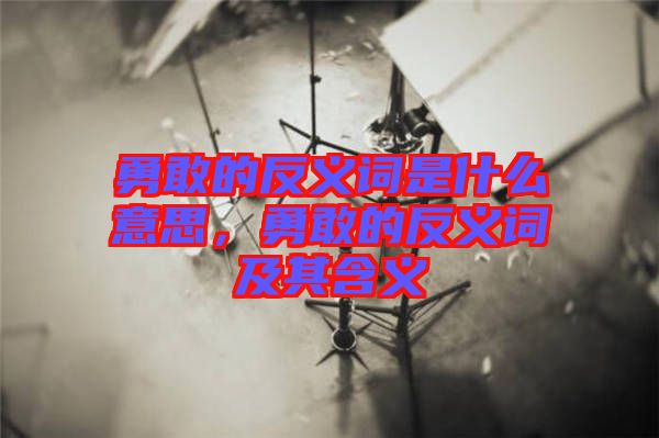 勇敢的反義詞是什么意思，勇敢的反義詞及其含義