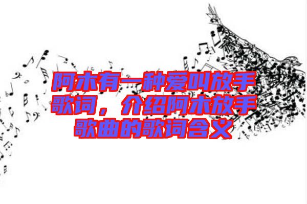 阿木有一種愛叫放手歌詞，介紹阿木放手歌曲的歌詞含義