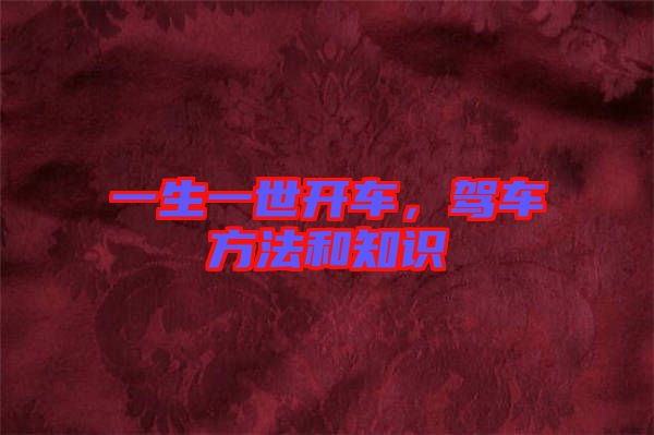 一生一世開車，駕車方法和知識