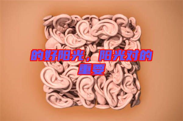 的好陽光，陽光對的重要