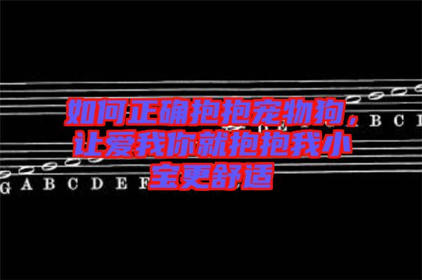 如何正確抱抱寵物狗，讓愛我你就抱抱我小寶更舒適