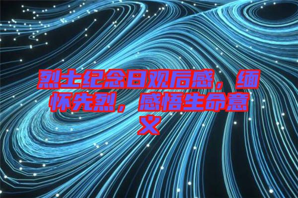 烈士紀(jì)念日觀后感，緬懷先烈，感悟生命意義