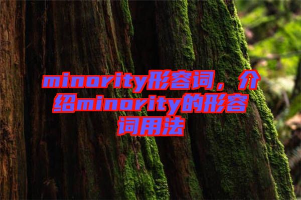 minority形容詞，介紹minority的形容詞用法