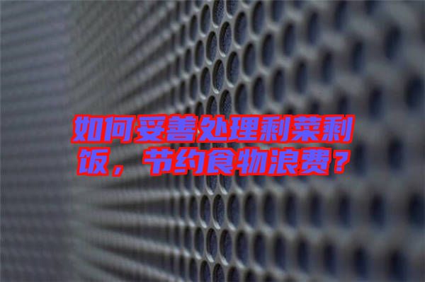 如何妥善處理剩菜剩飯，節(jié)約食物浪費？