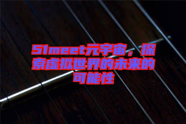 51meet元宇宙，探索虛擬世界的未來的可能性