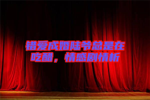 錯(cuò)愛(ài)成婚陸爺總是在吃醋，情感劇情析