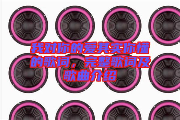 我對(duì)你的愛其實(shí)你懂的歌詞，完整歌詞及歌曲介紹