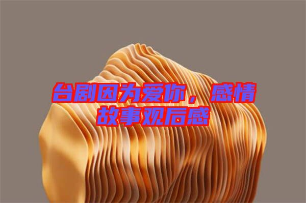 臺(tái)劇因?yàn)閻勰?，感情故事觀后感