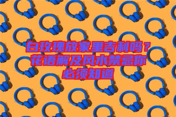 白玫瑰放家里吉利嗎？花語(yǔ)解及風(fēng)水禁忌你必須知道