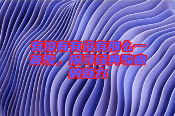 有沒有有沒有那么一首歌，探尋經(jīng)典歌曲的魅力