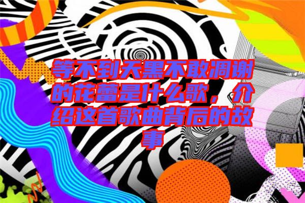 等不到天黑不敢凋謝的花蕾是什么歌，介紹這首歌曲背后的故事