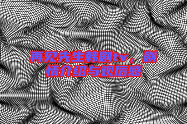 再見先生韓劇tv，劇情介紹與觀后感