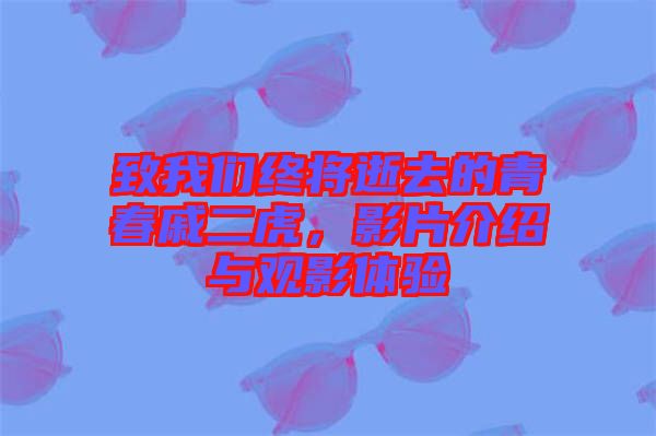 致我們終將逝去的青春戚二虎，影片介紹與觀影體驗
