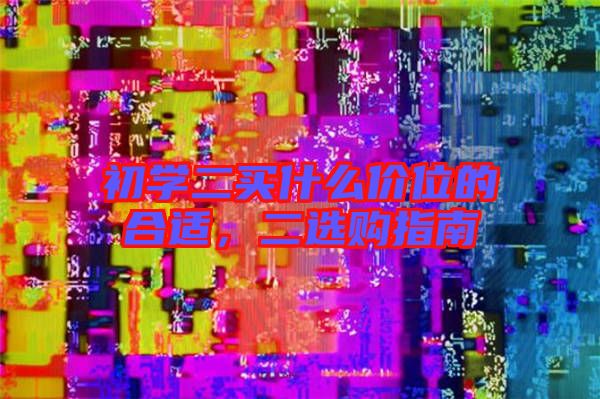 初學(xué)二買什么價(jià)位的合適，二選購指南