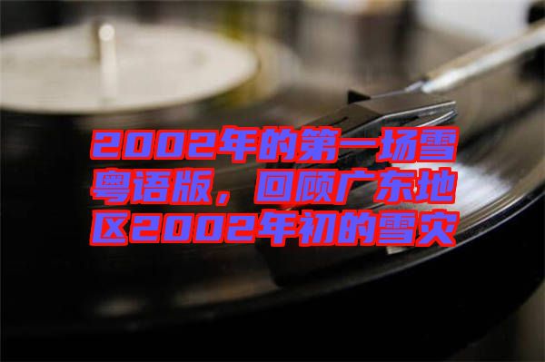 2002年的第一場雪粵語版，回顧廣東地區(qū)2002年初的雪災(zāi)