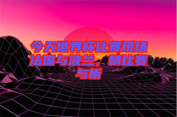 今天世界杯比賽現(xiàn)場法國與波蘭，精比賽與析