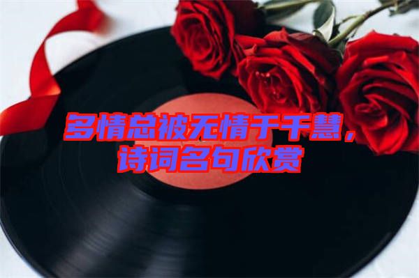 多情總被無情于千慧，詩詞名句欣賞