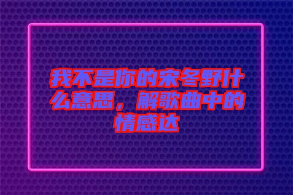 我不是你的宋冬野什么意思，解歌曲中的情感達(dá)