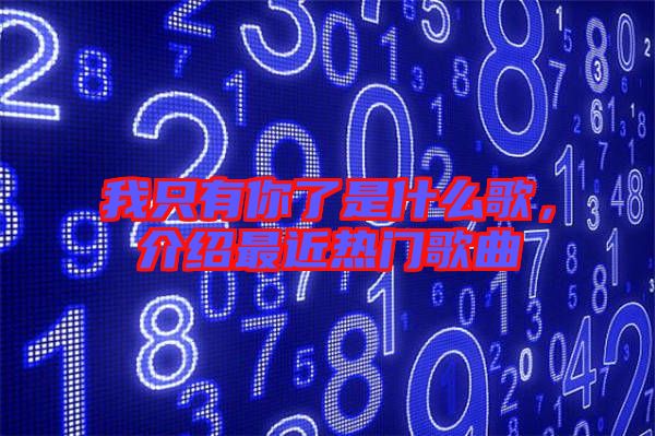 我只有你了是什么歌，介紹最近熱門歌曲