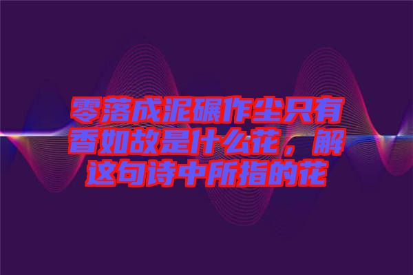 零落成泥碾作塵只有香如故是什么花，解這句詩中所指的花