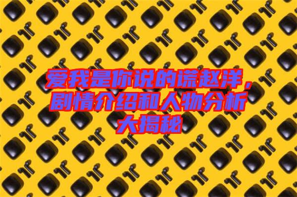 愛(ài)我是你說(shuō)的謊趙洋，劇情介紹和人物分析大揭秘