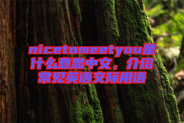 nicetomeetyou是什么意思中文，介紹常見英語交際用語