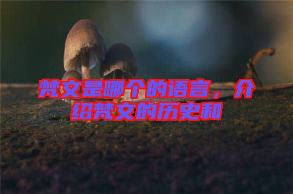 梵文是哪個的語言，介紹梵文的歷史和